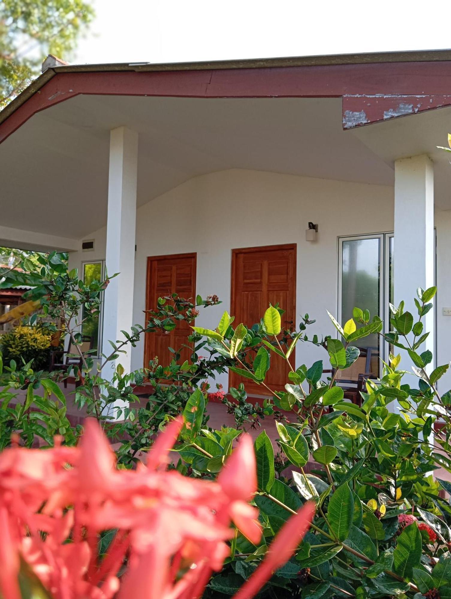 Jeys Place Hotel Nilaveli Exterior foto